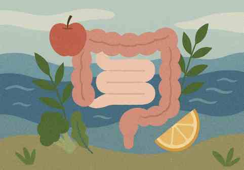 troubles digestifs naturopathie